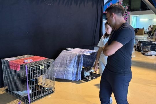 Στέφανος Κασσελάκης